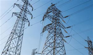 猪肉市场现状机遇深度调研分析2024(图6)