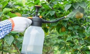 猪肉市场现状机遇深度调研分析2024(图7)