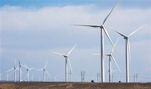 猪肉市场现状机遇深度调研分析2024(图9)