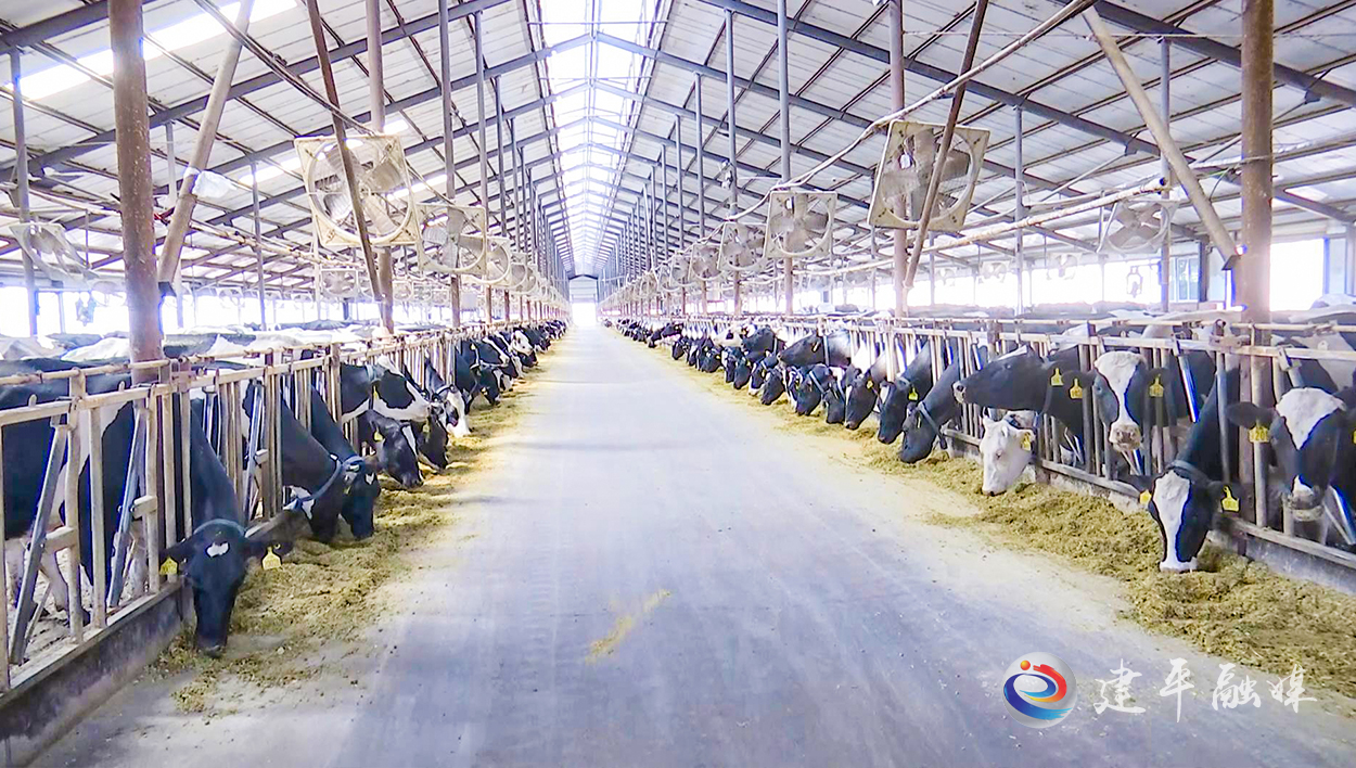 海北州在山东畜博会上签约195亿元斩获3项金奖