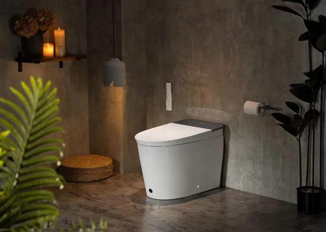 3人小团队创业年破千万美元！中国智能马桶如何征服美国市场？(图2)