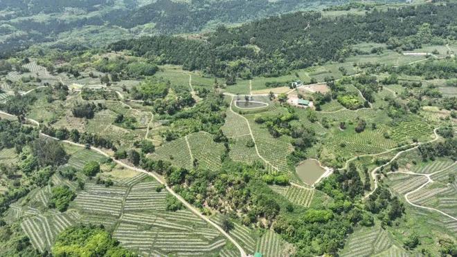 算清“生态账”+念好“生意经”鱼和熊掌我们都要!(图2)