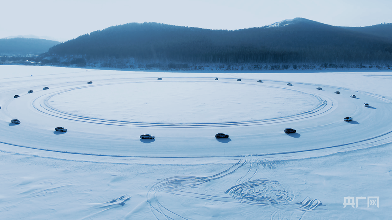 奋进内蒙古·发展有底气｜以“绿”为脉在呼伦贝尔读懂生态发展的方向(图4)
