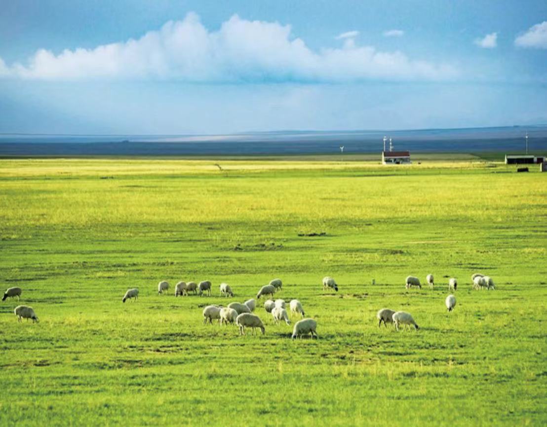 泥瓦匠买彩票中500万改变人生两年耗光欲卧轨自杀