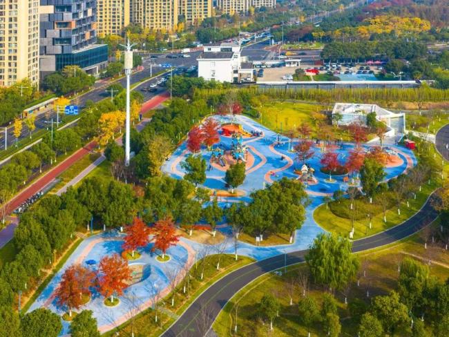 中国人均拥有约100棵树绿色家底背后的奋斗(图2)