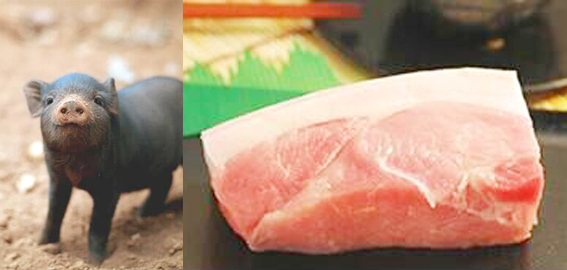 生鲜猪肉行业市场调查与未来趋势分析2025