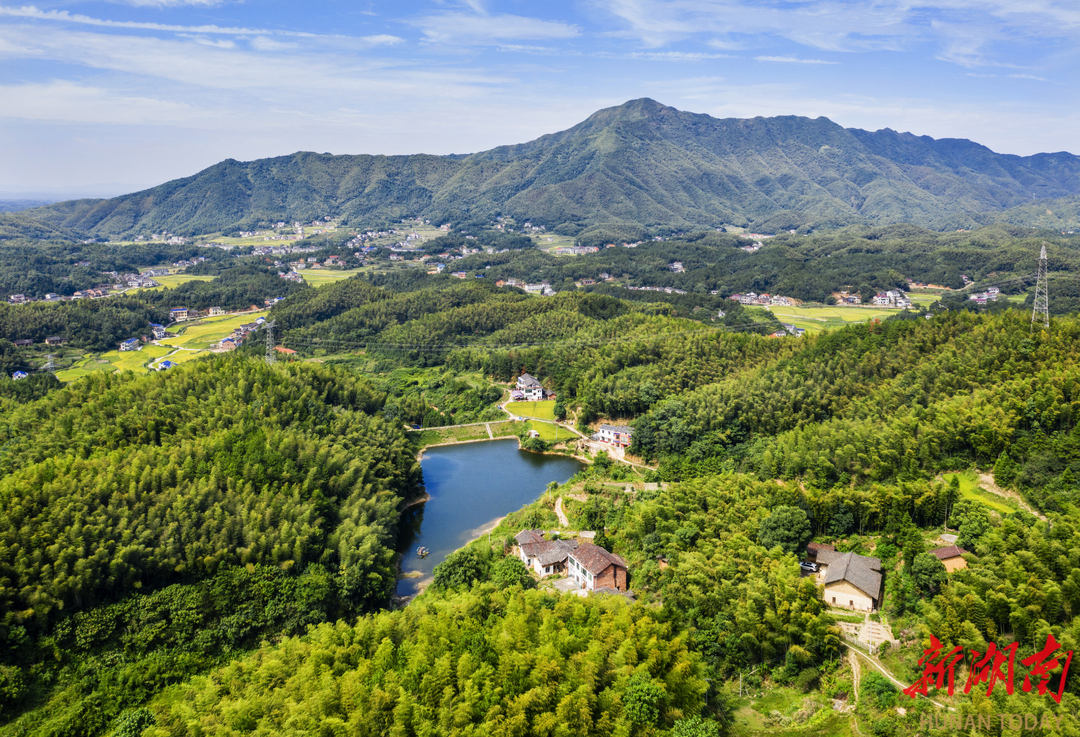 熊猫体育资讯：非凡“十四五”丨湘乡：精准护绿绘底色“点绿成金”惠民生(图5)