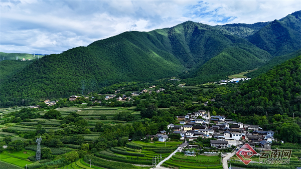 【“白云升处•乡兴志”系列全媒体蹲点调研报道⑥】雪山下共酿一坛岁月醇香(图2)