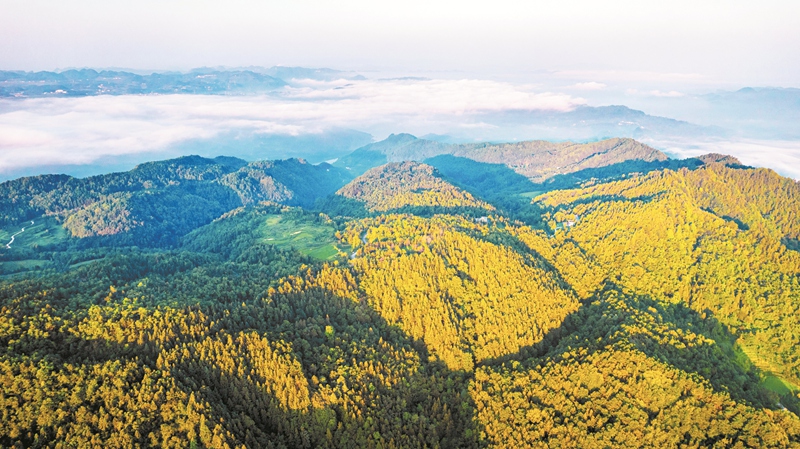 熊猫体育资讯：绿染乌蒙满目新(图3)