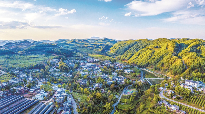 熊猫体育资讯：绿染乌蒙满目新(图4)