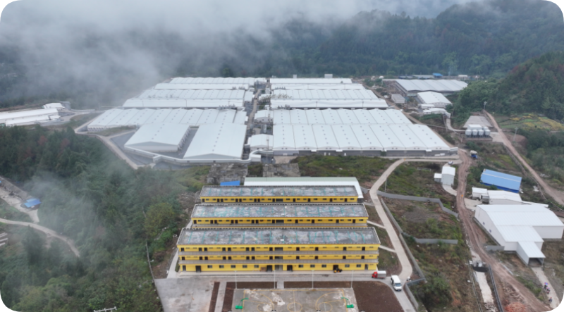 熊猫体育资讯:深耕“三农”粮安民富——南充市“十四五”时期农业农村发展综述(图3)