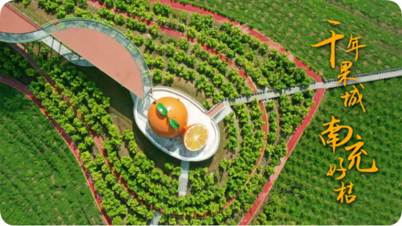 熊猫体育资讯:深耕“三农”粮安民富——南充市“十四五”时期农业农村发展综述(图6)