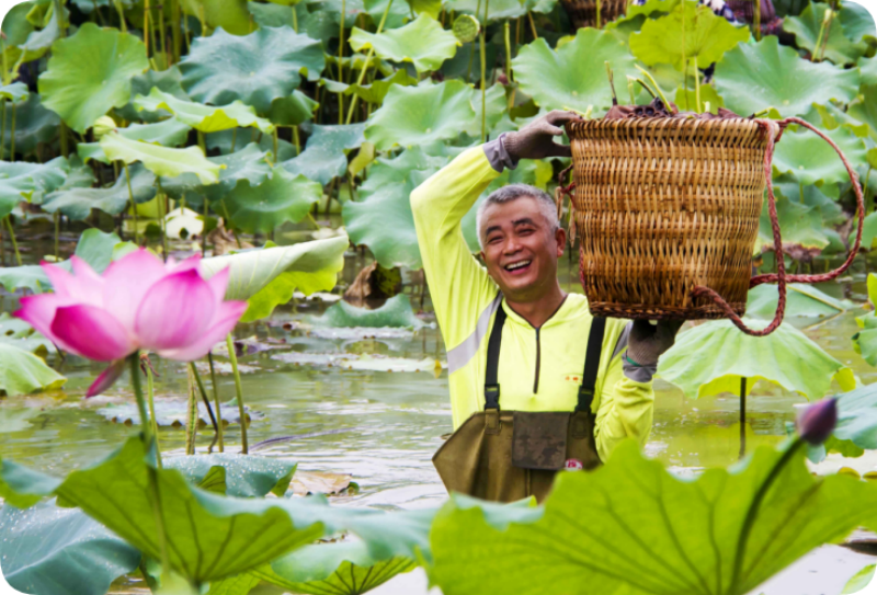 熊猫体育资讯:深耕“三农”粮安民富——南充市“十四五”时期农业农村发展综述(图9)