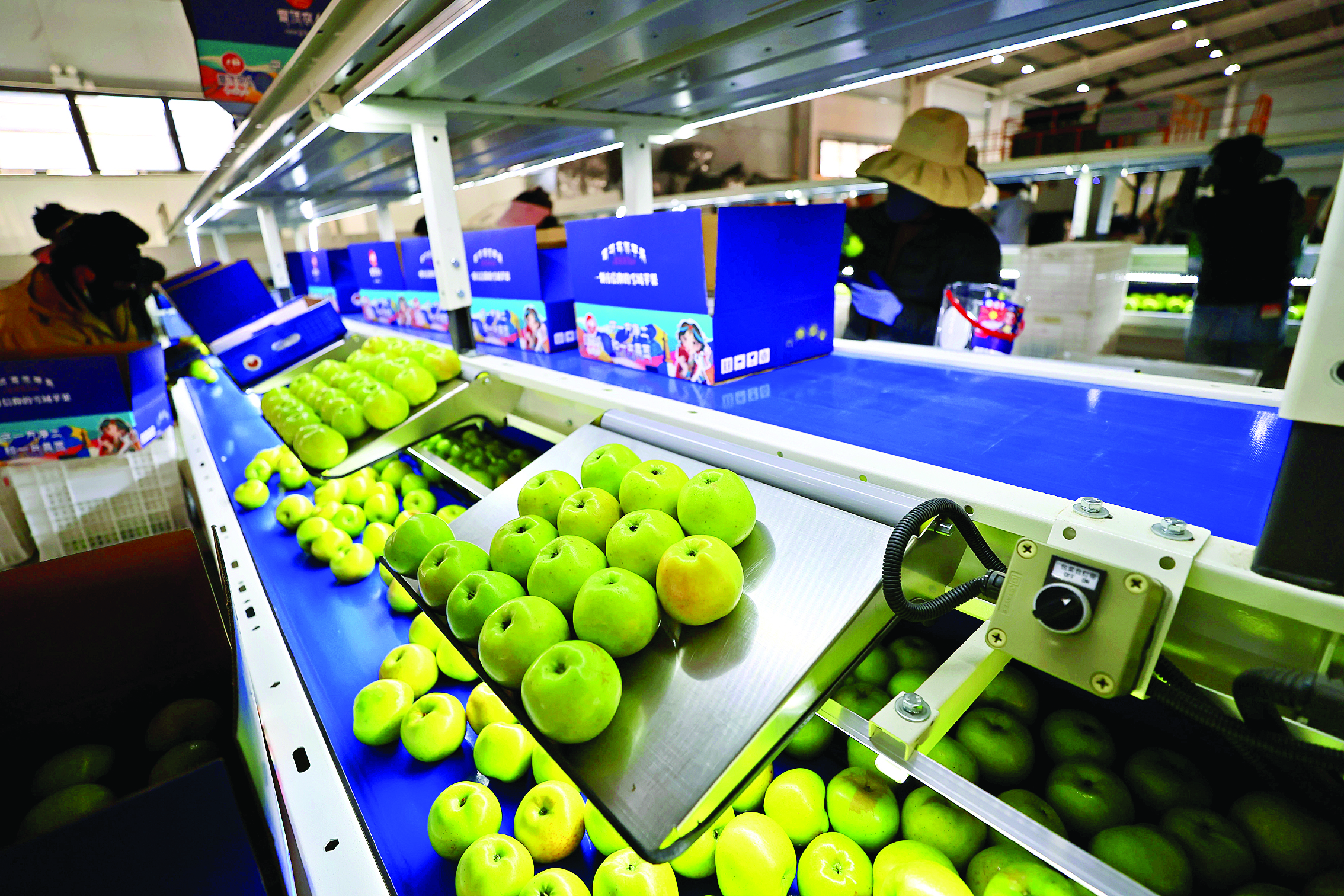 熊猫体育：惠州精准援藏助力朗县“十四五”交出亮眼答卷(图4)