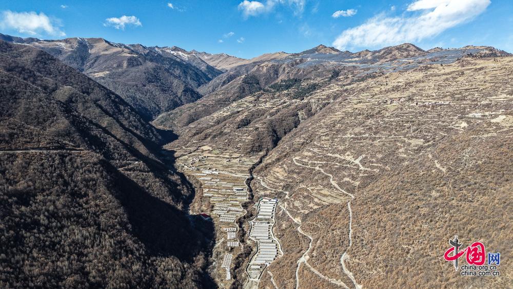 阿坝州高原特色畜牧产业充实“天府粮仓”“肉盘子”(图3)