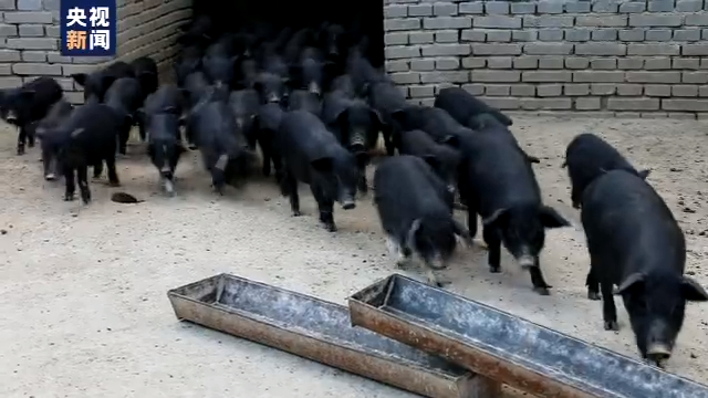 江苏对永州这份情与这四个字有关