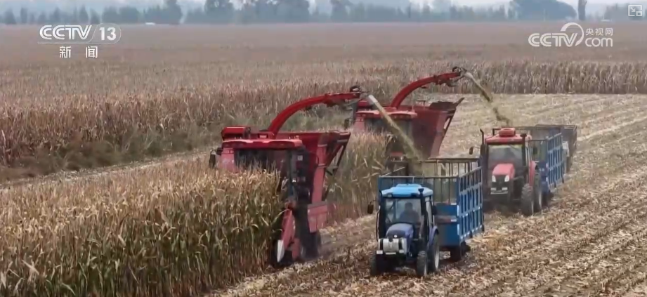 熊猫体育：向“好”向“新”绿”新突破！多领域捷报频传经济发展“新”动力更足(图4)