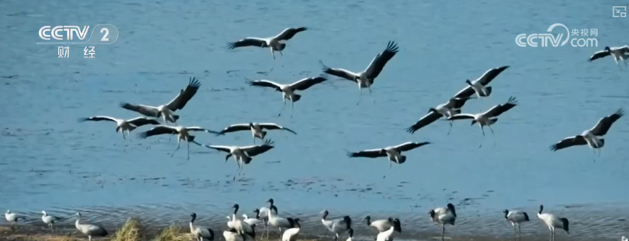 熊猫体育：向“好”向“新”绿”新突破！多领域捷报频传经济发展“新”动力更足(图5)