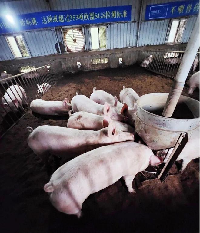 科技赋能“舌尖上的安全”(图5)