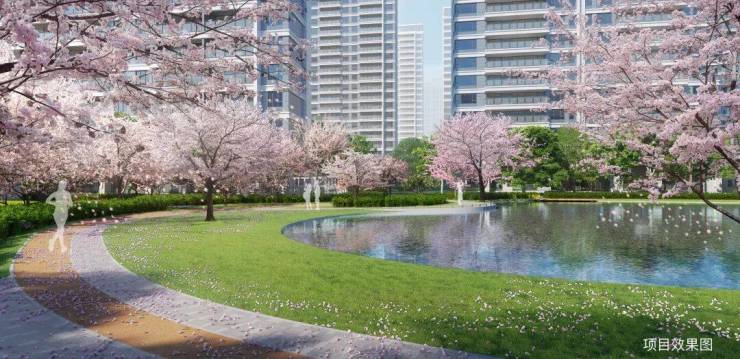 熊猫体育：和风雅信-双500强精工大宅!和风雅信坐拥高铁新城核心政策利好下抢占稀缺资产(图6)