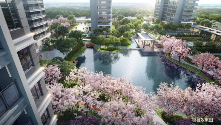 熊猫体育：和风雅信-双500强精工大宅!和风雅信坐拥高铁新城核心政策利好下抢占稀缺资产(图7)