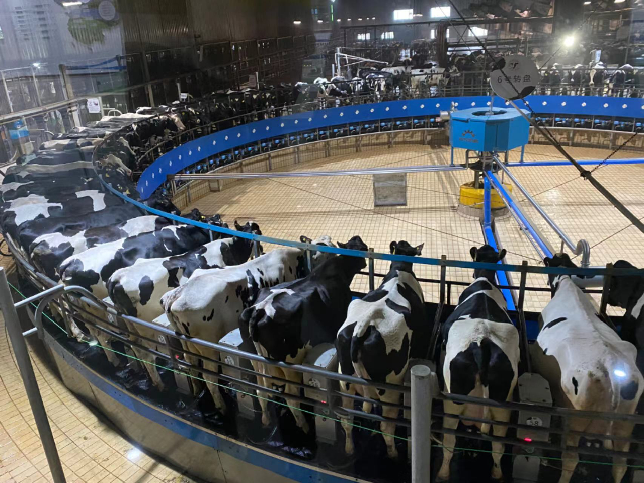 国王NBA国王国王队国王中文网