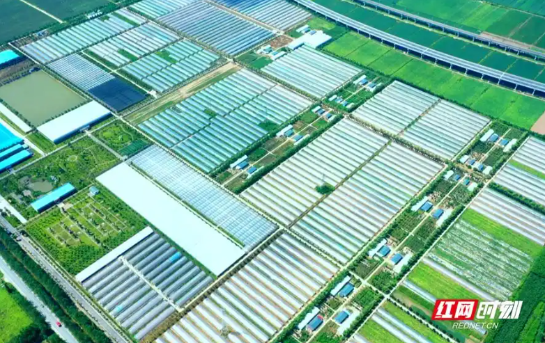 观潮的螃蟹湖南农产品如何跳出“价贱伤农”这类怪圈(图2)