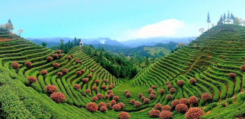 观潮的螃蟹湖南农产品如何跳出“价贱伤农”这类怪圈(图3)