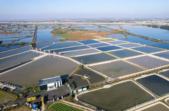 观潮的螃蟹湖南农产品如何跳出“价贱伤农”这类怪圈(图5)