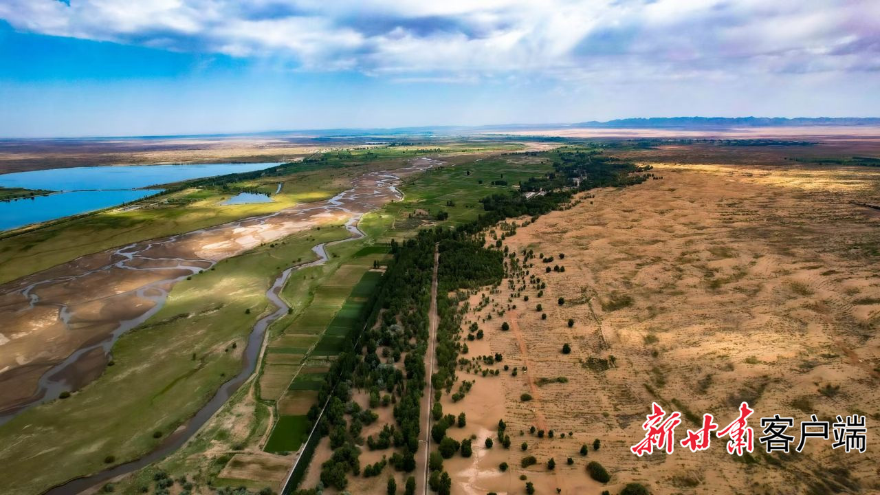 熊猫体育资讯：【甘快看】陇原大地织绿网纵深推进“三北”工程建设(图4)