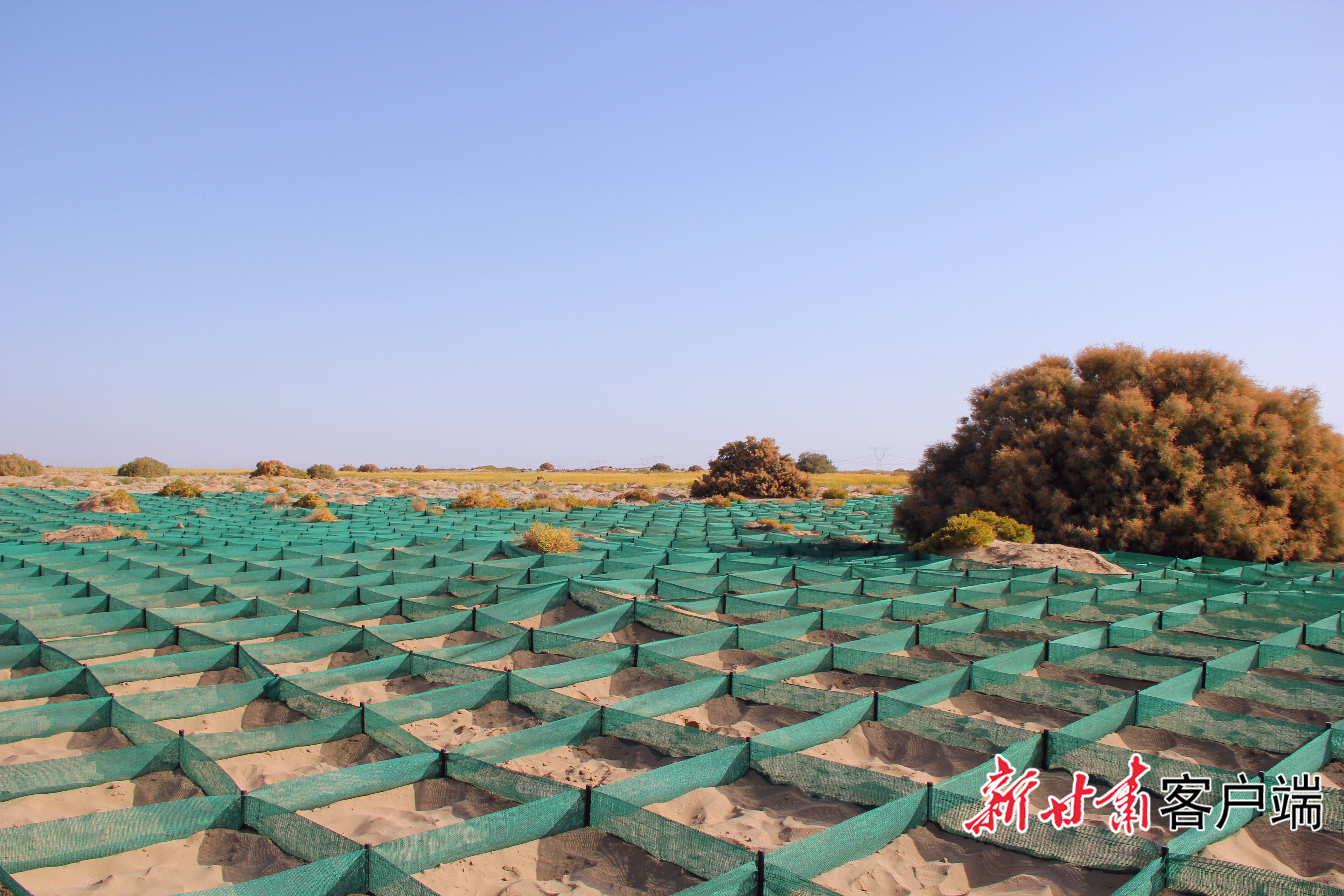 熊猫体育资讯：【甘快看】陇原大地织绿网纵深推进“三北”工程建设(图6)