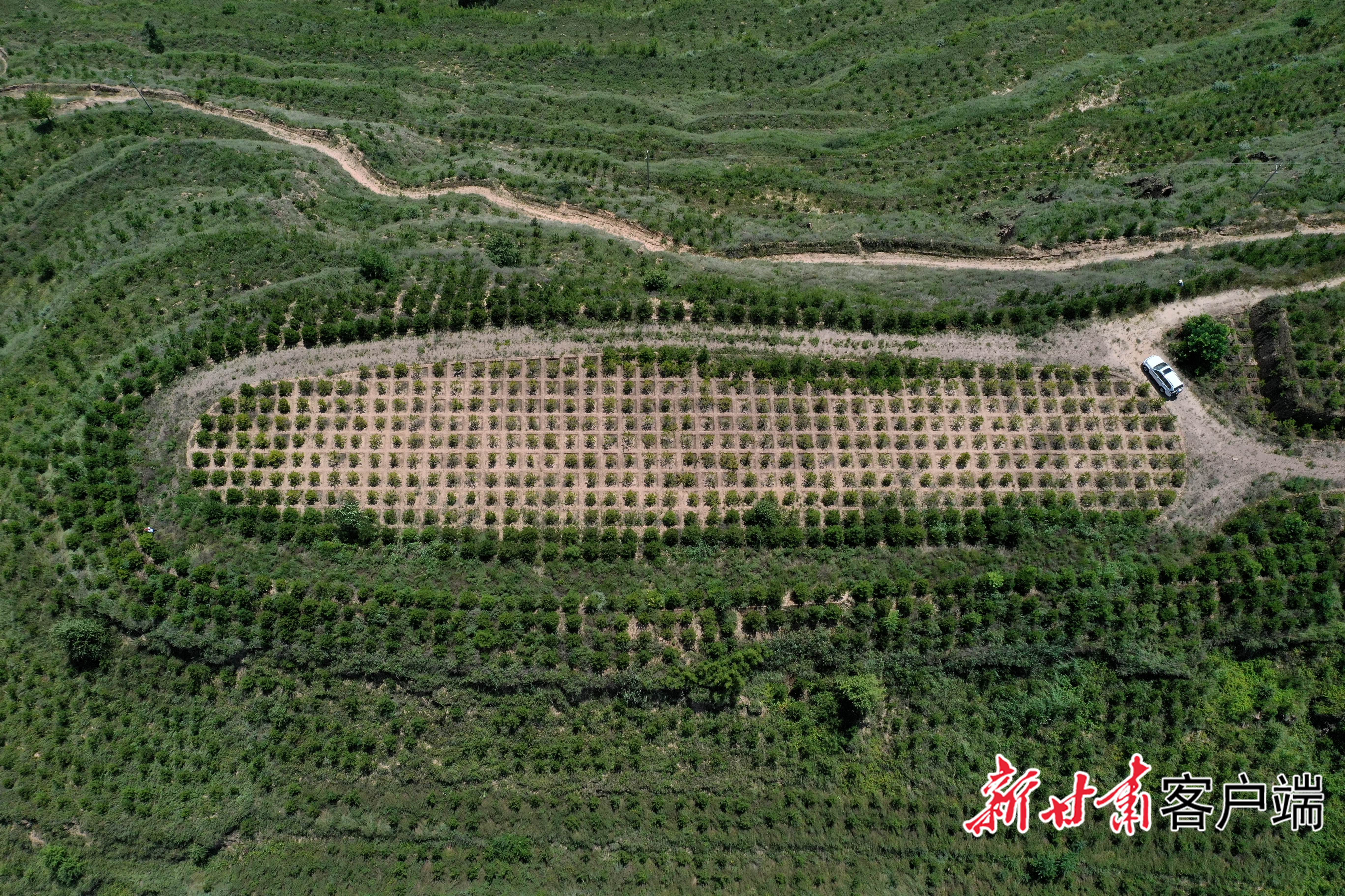 熊猫体育资讯：【甘快看】陇原大地织绿网纵深推进“三北”工程建设(图9)