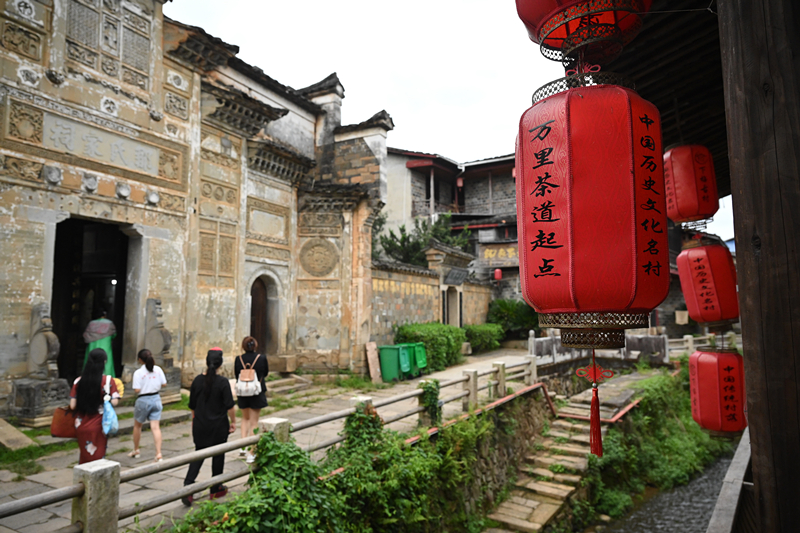 天天学习｜一叶茶香四重深意(图8)